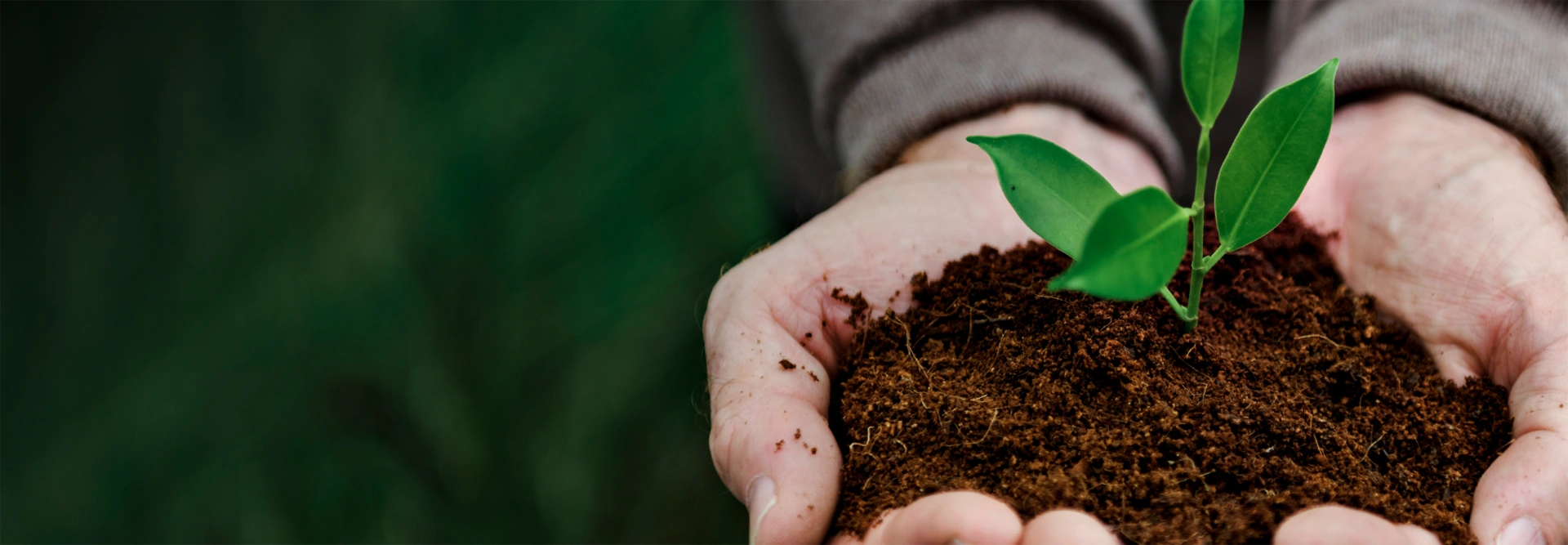 Sustainability-BANNER