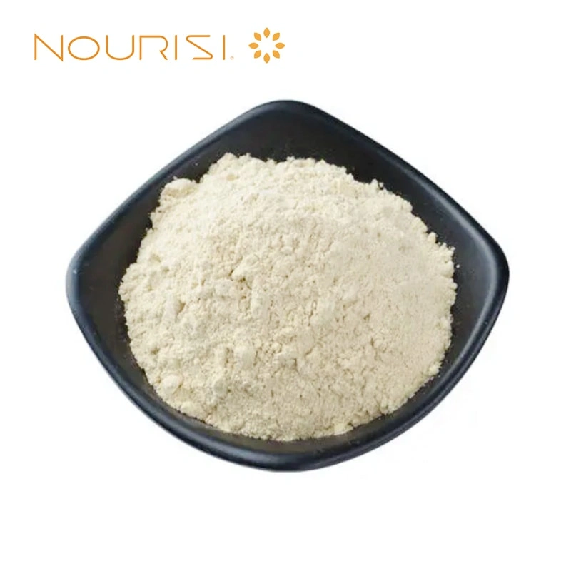 Xanthan Gum E415