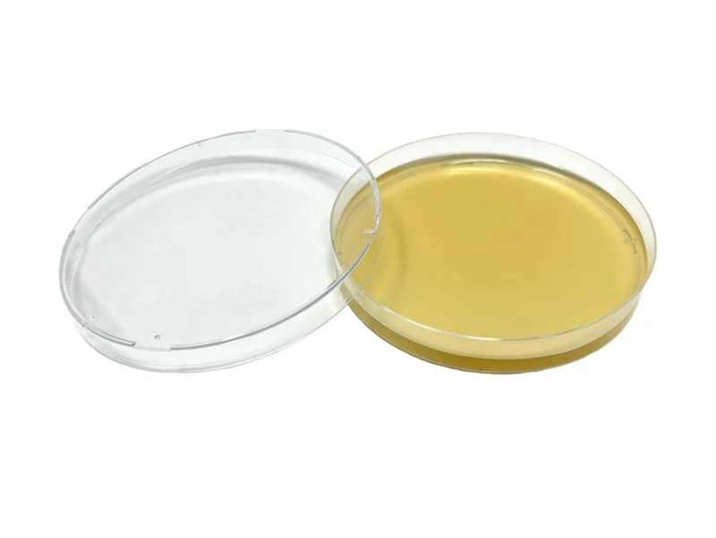 Empower Your Products with Premium Agar