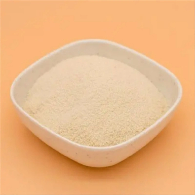 Xanthan Gum: A Functional Powerhouse