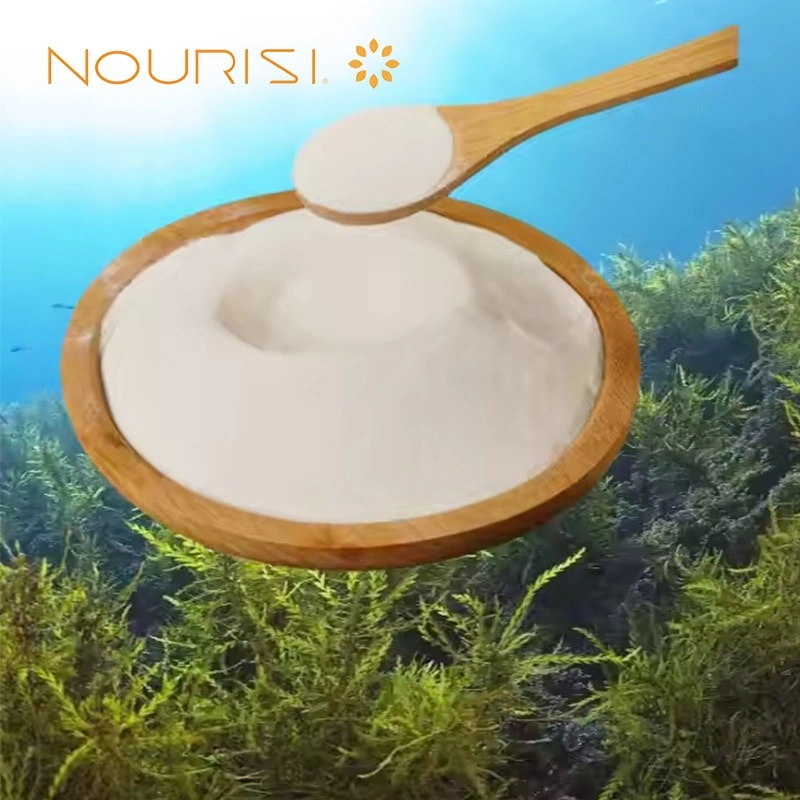 Refined Carrageenan in Food