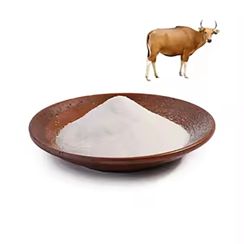 The Application of Collagen in Dietary Supplements