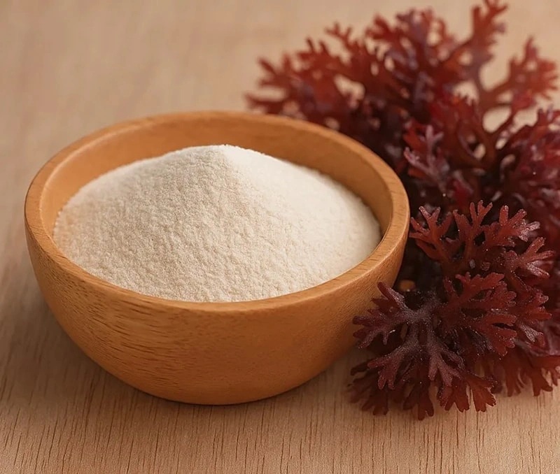 Carrageenan Natural Seaweed Gel for Food