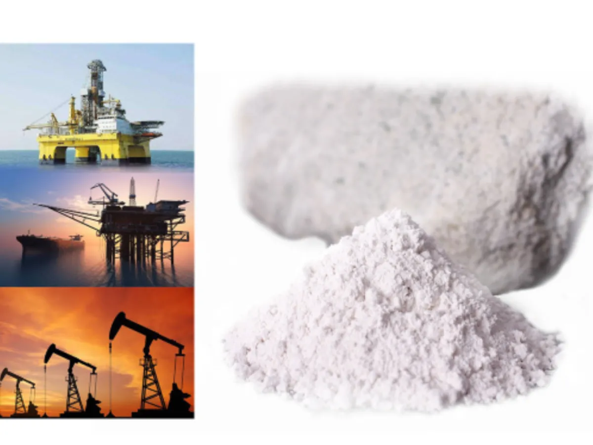 Polyanionic Cellulose Uses
