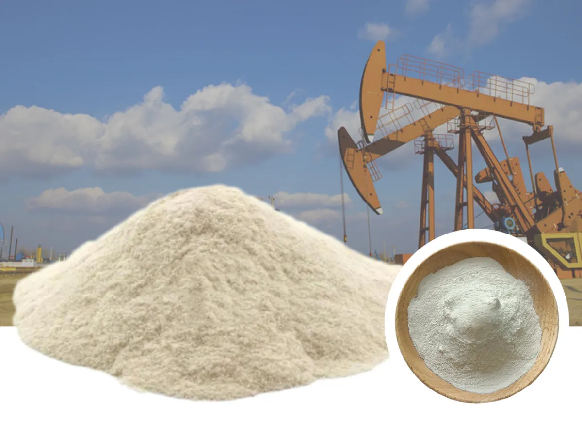 Polyanionic Cellulose (PAC) Applications