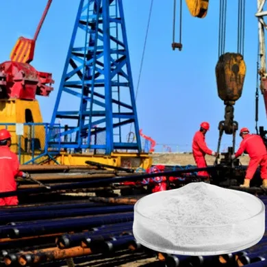 Polyanionic Cellulose (PAC) Applications