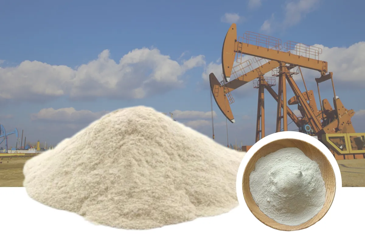 Polyanionic Cellulose (PAC) Applications - detail image 4