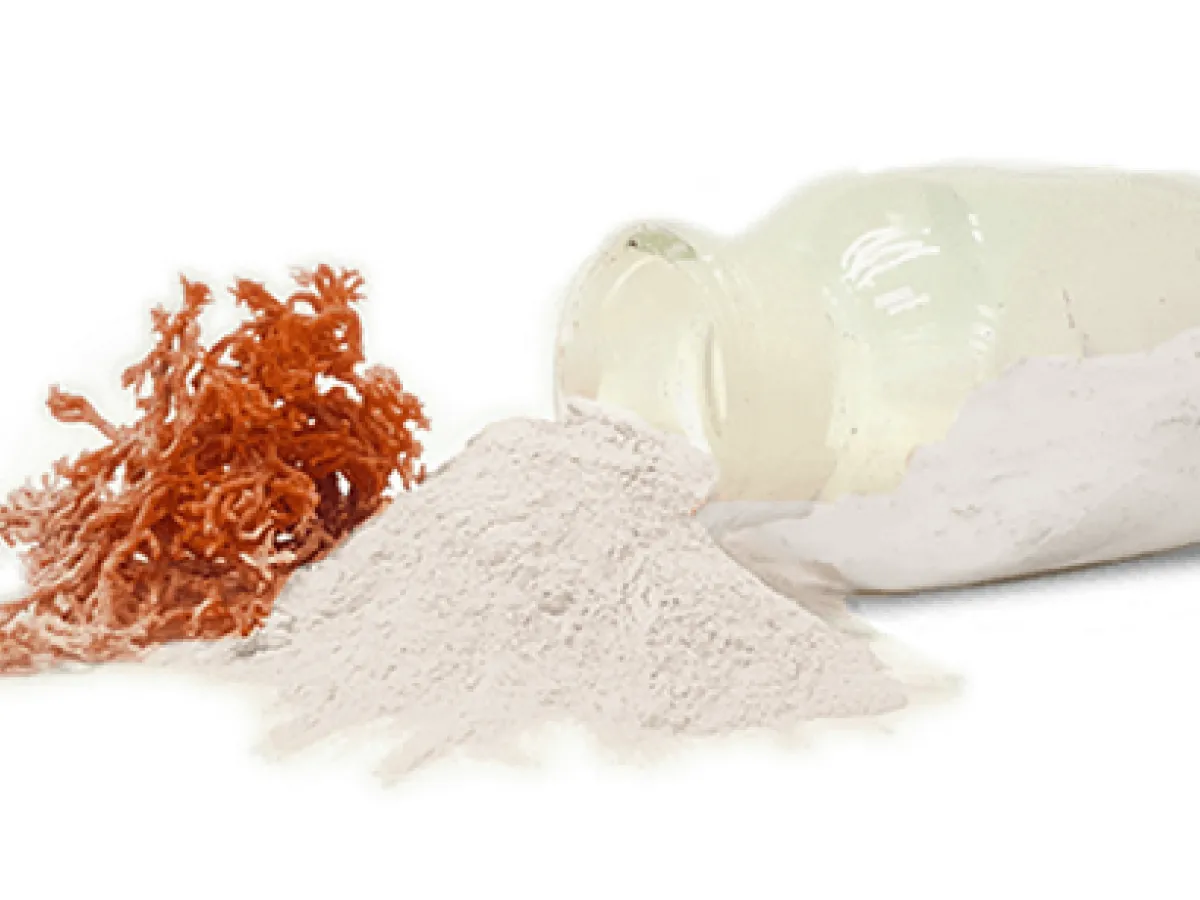 Carrageenan for Low-Temperature Meat Processing