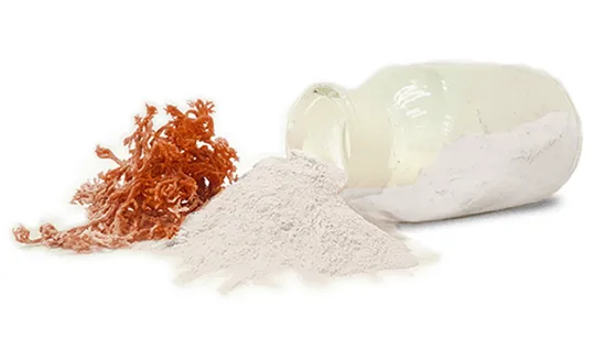Carrageenan for Low-Temperature Meat Processing - detail image 3