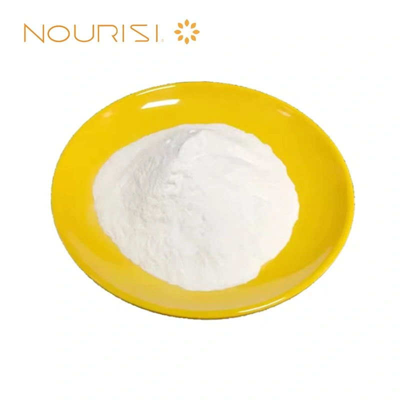 Polyanionic Cellulose (PAC) CAS 9004-32-4