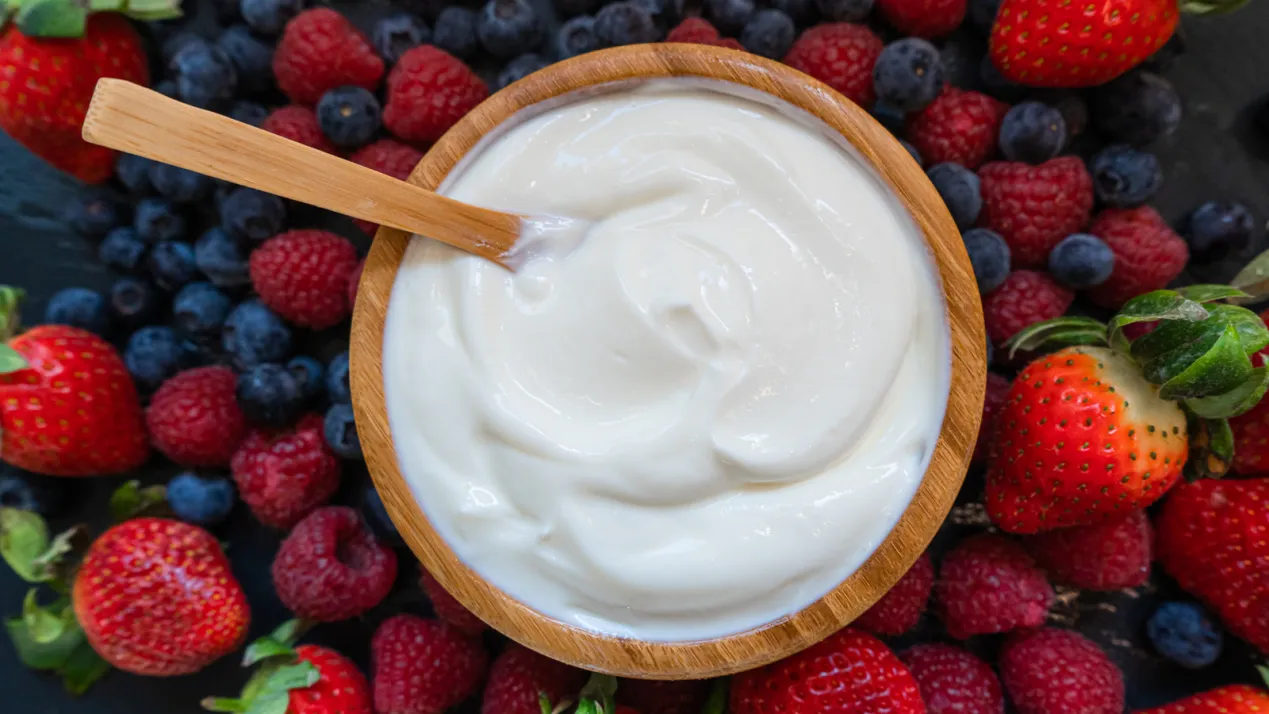 Application Details and Advantages of Gelatin in Yogurt - detail image 2